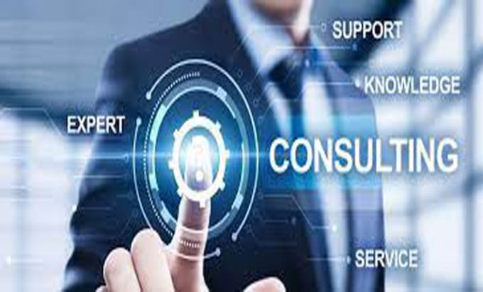 Gig Preview - Do business consulting services for all startup