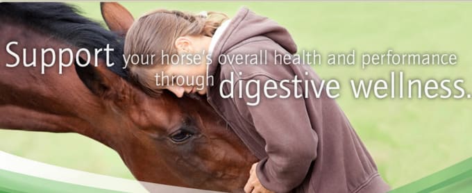 Gig Preview - Analysis of your horse feeding plan