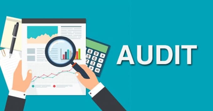 Gig Preview - Provide internal, external and supplier audit reports