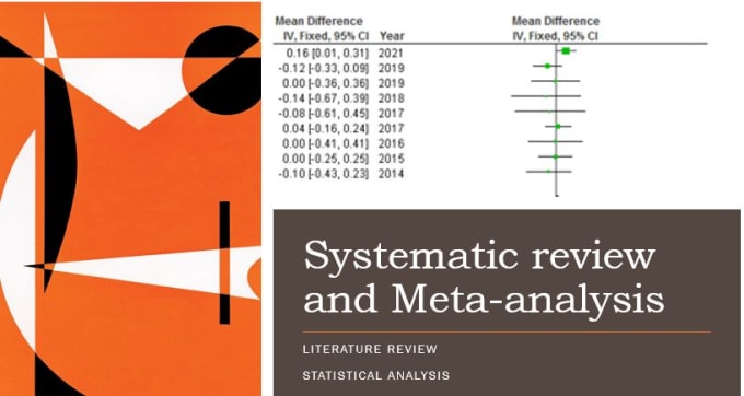 Gig Preview - Do systematic review and meta analysis in professional way