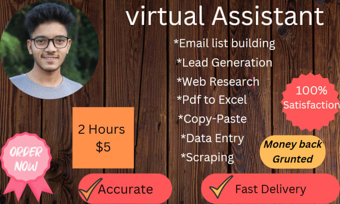 Gig Preview - Be virtual assistant of data entry and copy paste