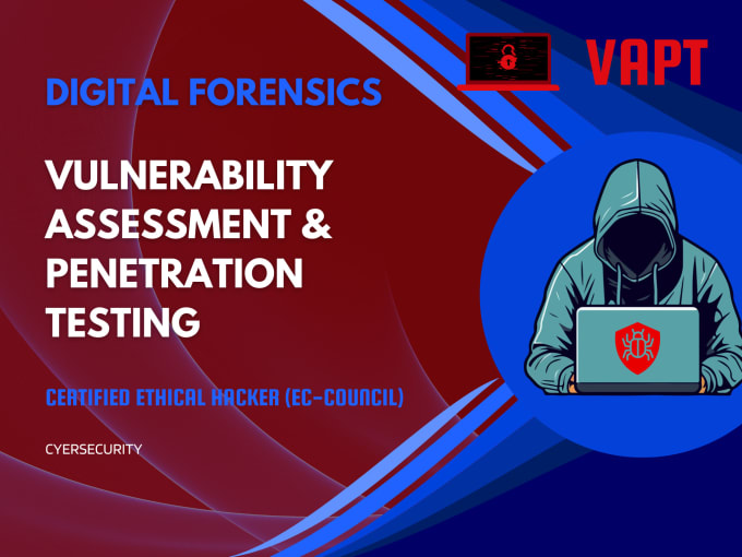 Gig Preview - Do vulnerability assessment, penetration testing, vapt, VA