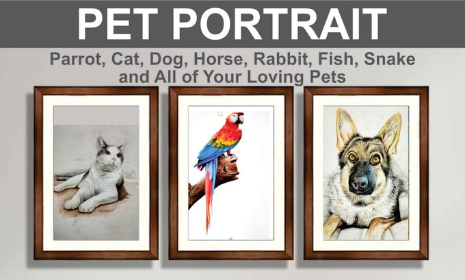 Gig Preview - Draw  pet portraits, of parrots, dogs, cats, and rabbits