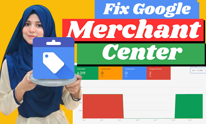 Gig Preview - Fix google merchant center and run shopping ads