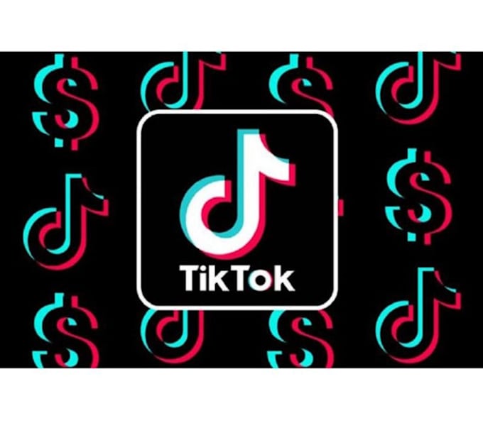 Gig Preview - Follow your tiktok account