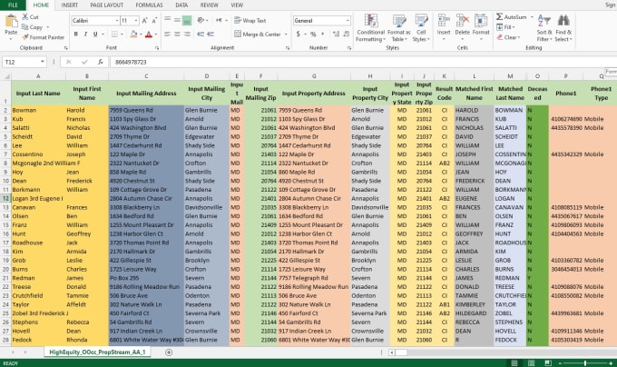 Gig Preview - Do fast and accurate data entry in excel