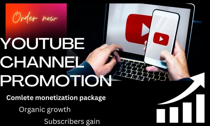 Gig Preview - Do organic youtube promotion for your video to grow channel