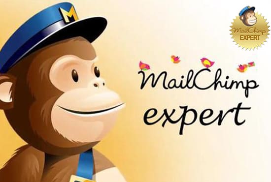 Gig Preview - Work as a mailchimp expert