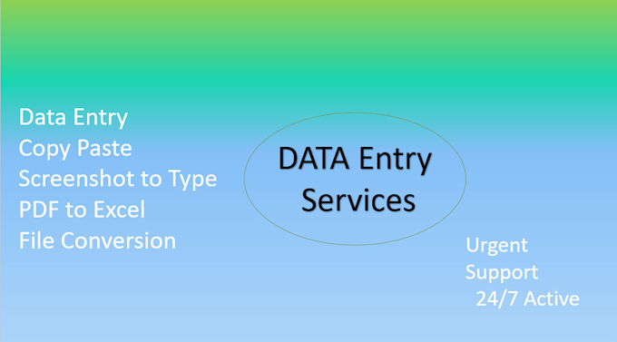 Gig Preview - Be your data entry operator