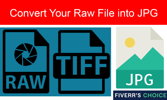 Gig Preview - Convert your raw images into jpeg