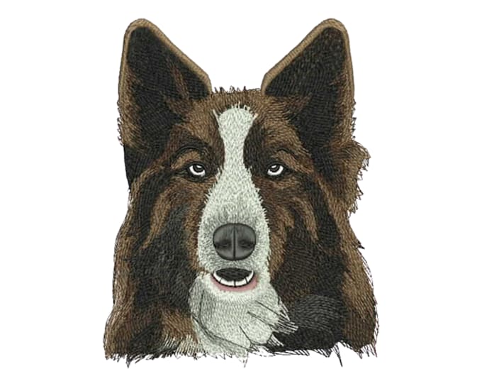 Gig Preview - Embroidery digitizing in 2 hours dst, pxf