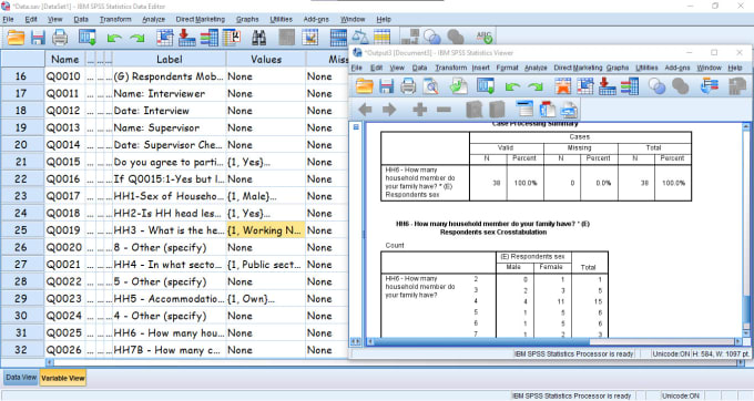 Gig Preview - Teach basic spss, excel