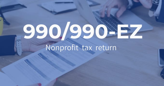 Gig Preview - Prepare and e file US nonprofit annual return