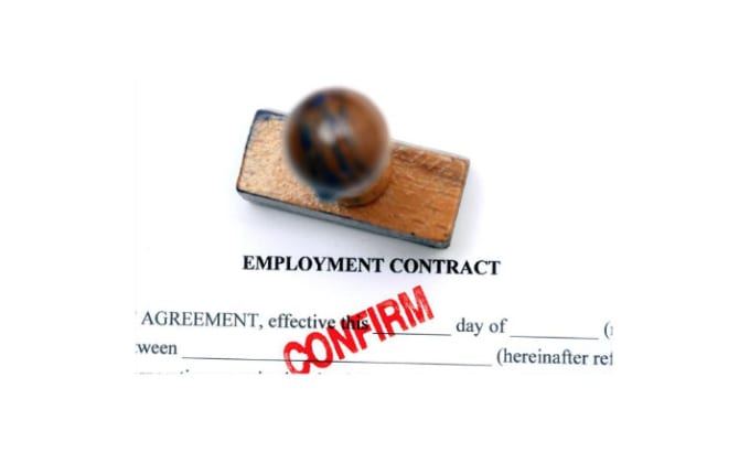 Gig Preview - Create a legally binding and up to date employment contract