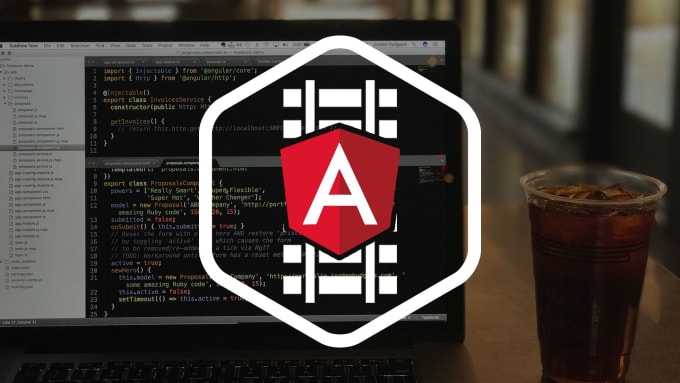 Gig Preview - Fix web application bugs and code in angular and node js