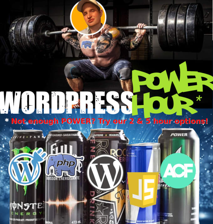 Gig Preview - Tweaks, fixes, updates US based wordpress pro is your wp handyman