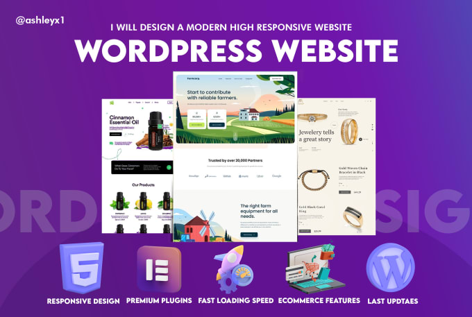 Gig Preview - Develop and design wordpress website