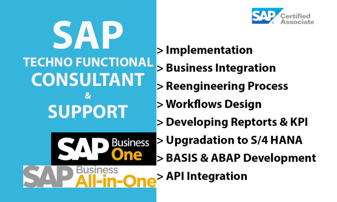 Gig Preview - Be certified sap abap s 4 hana techno functional consultant