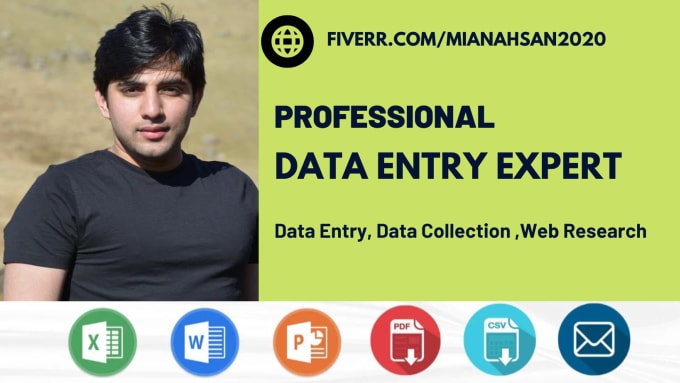 Gig Preview - Do efficient data entry, excel or word, web research, and finding emails