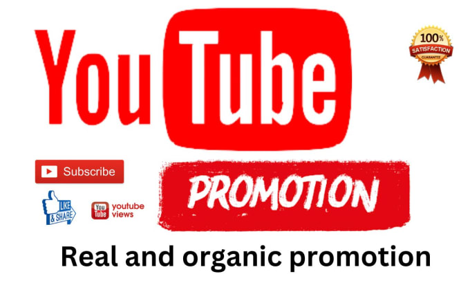 Gig Preview - Do super fast organic youtube video promotion