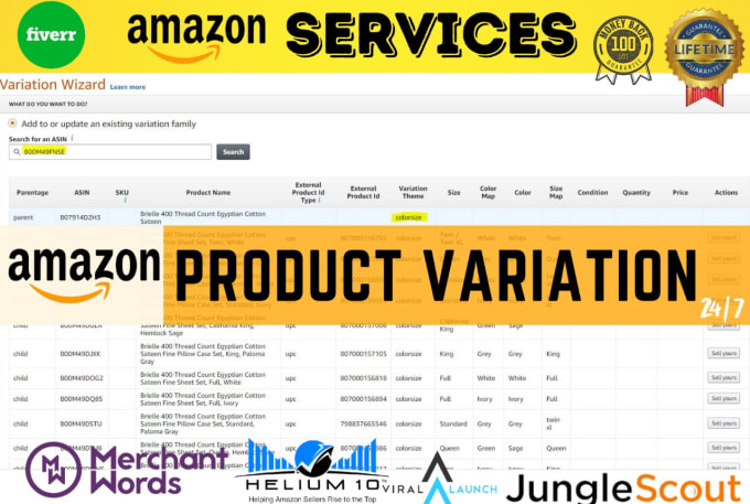 Gig Preview - Create amazon product listing, variation, or fix amazon listing