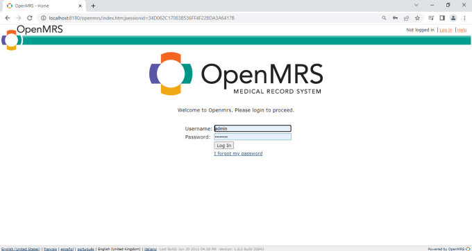 Gig Preview - Help your openmrs module and report development