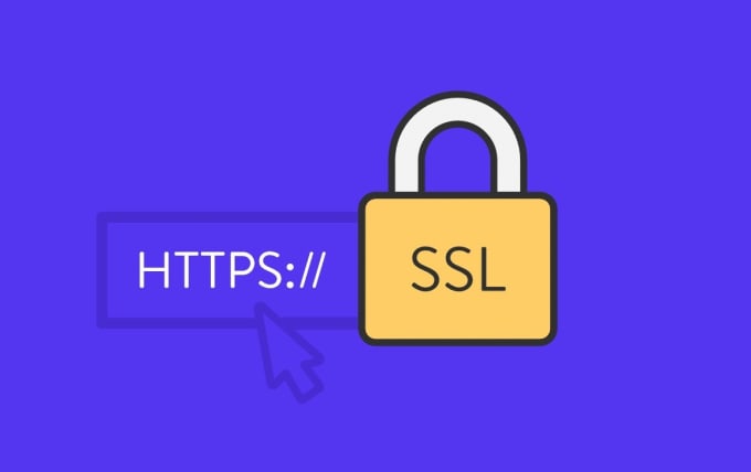 Gig Preview - Setup secure SSL on your websites