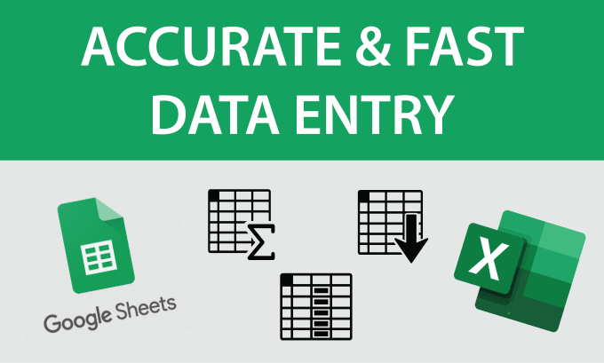 Gig Preview - Proficiently perform data entry to excel sheets