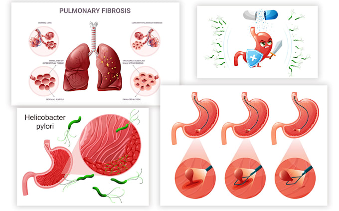 Gig Preview - Do medical scientific and educational illustrations