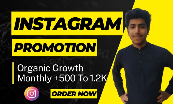 Gig Preview - Do instagram marketing or promotion for organic instagram growth