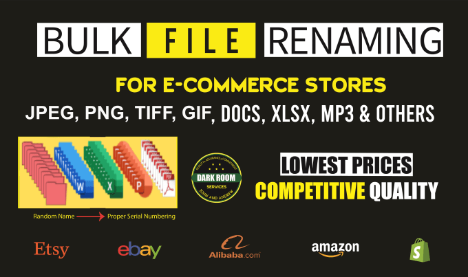 Gig Preview - Bulk rename images pdf document excel mp3 mp4 and other file types