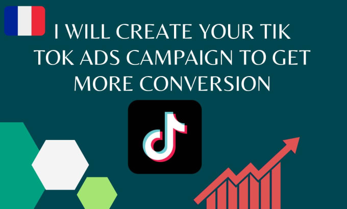 Gig Preview - Create a powerful tiktok ads campaign for your business