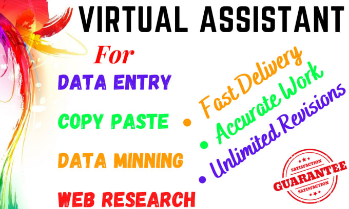 Gig Preview - Work as virtual assistant for data entry