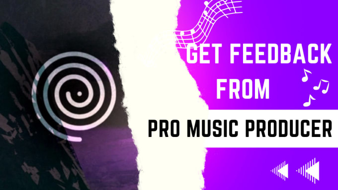 Gig Preview - Give professional feedback and advice by pro music producer