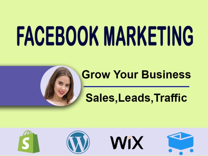 Gig Preview - Do facebook marketing for sales and leads through fb ad campaign