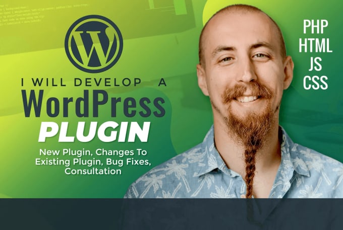 Gig Preview - Develop or repair a wordpress plugin for you