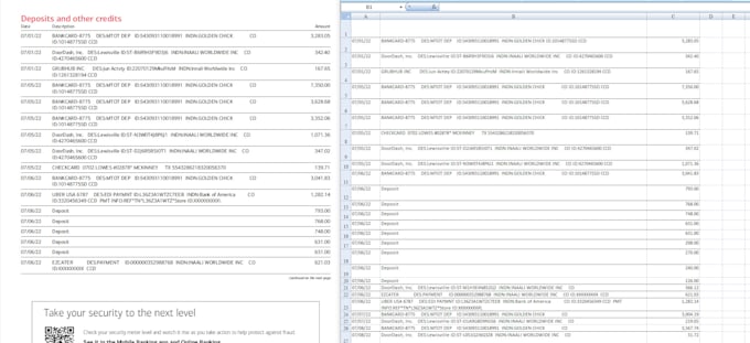 Gig Preview - Professional data entry, pdf to excel, excel data typing