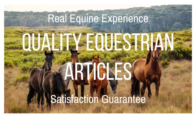 Gig Preview - Write your horse or equestrian focused articles