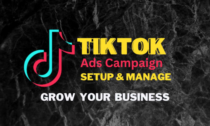 Gig Preview - Setup and manage tiktok ads campaign and facebook ads