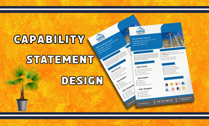 Gig Preview - Design a professional and effective government capability statement