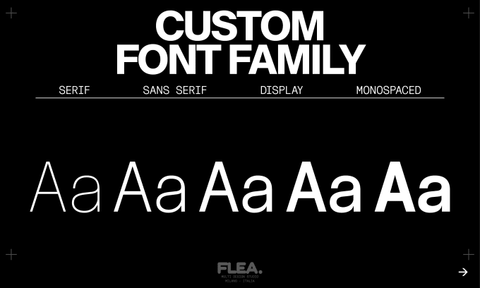 Gig Preview - Create a professional custom font