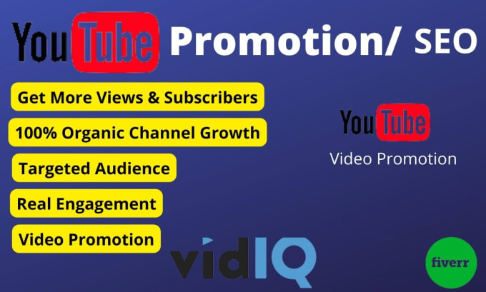 Gig Preview - Do organic youtube video channel promotion and SEO