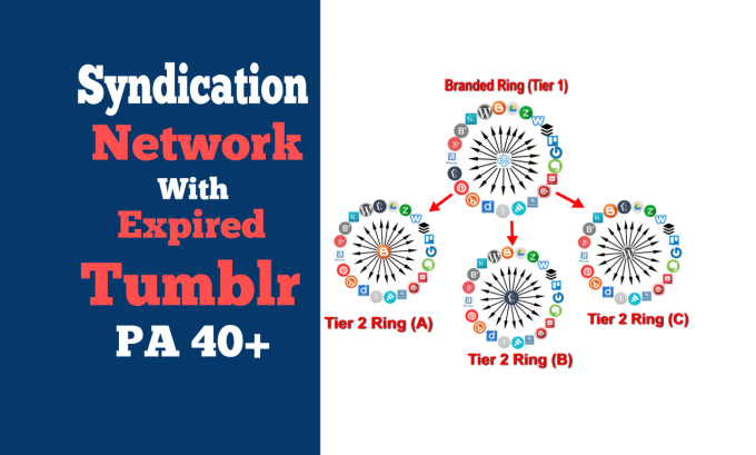 Gig Preview - Create syndication network for website with expired tumblr