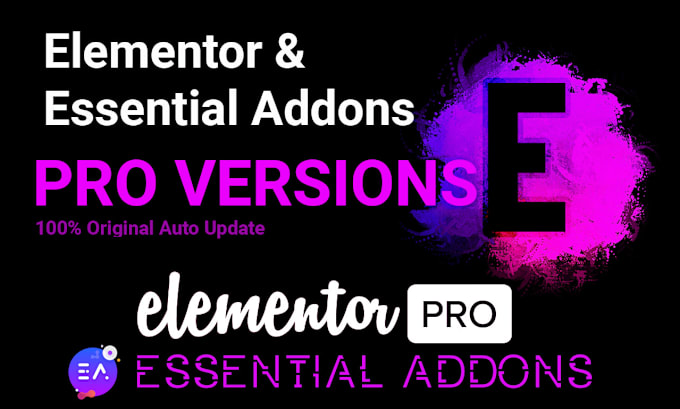 Gig Preview - Install elementor pro and essential addons pro plugin updatable