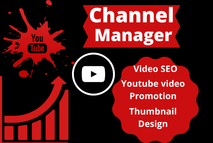 Gig Preview - Your youtube channel growth manager