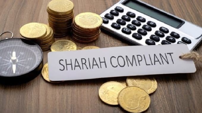 Gig Preview - Offer shariah guidance for business, startups and individuals