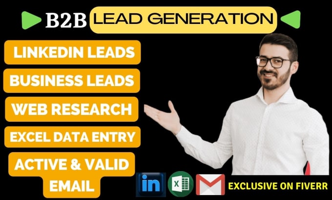 Gig Preview - Provide targeted b2b lead , linkedin research, email list, data entry