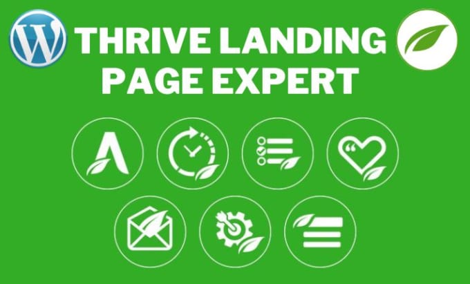 Gig Preview - Be thrive theme builder expert