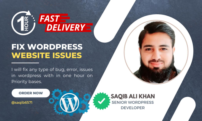 Gig Preview - Fix any wordpress issues, errors and bugs in 1 hour