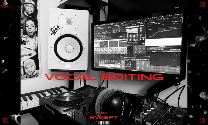 Gig Preview - Mix and edit your vocals professionally for any genre